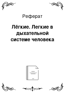 Реферат: Лёгкие. Легкие в дыхательной системе человека