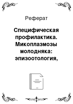 Реферат: Специфическая профилактика. Микоплазмозы молодняка: эпизоотология, диагностика и лечение