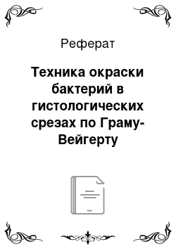 Реферат: Техника окраски бактерий в гистологических срезах по Граму-Вейгерту