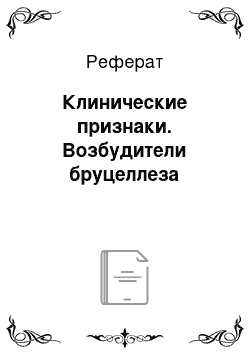 Реферат: Клинические признаки. Возбудители бруцеллеза