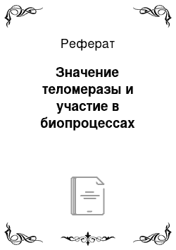 Реферат: Значение теломеразы и участие в биопроцессах