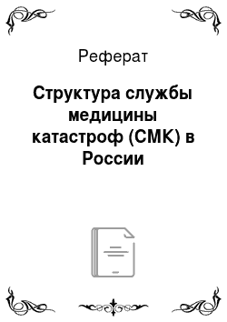 Реферат: Структура службы медицины катастроф (СМК) в России
