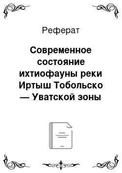 Реферат: Современное состояние ихтиофауны реки Иртыш Тобольско — Уватской зоны