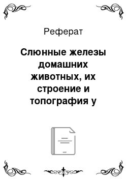 Реферат: Слюнные железы домашних животных, их строение и топография у различных видов