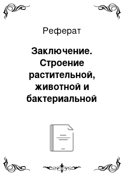 Реферат: Заключение. Строение растительной, животной и бактериальной клеток