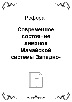 Реферат: Современное состояние лиманов Мамайской системы Западно-Казахстанской области