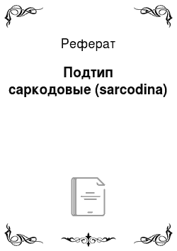 Реферат: Подтип саркодовые (sarcodina)