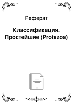 Реферат: Классификация. Простейшие (Protazoa)