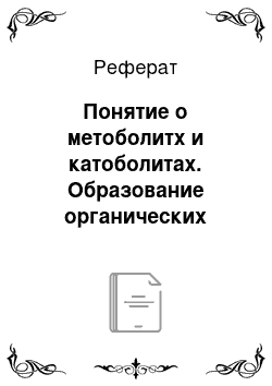 Реферат: Понятие о метоболитх и катоболитах. Образование органических веществ в клетке. Углеводы, запасные белки, жиры