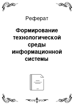 Реферат: Формирование технологической среды информационной системы