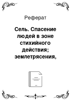 Реферат: Сель. Спасение людей в зоне стихийного действия; землетрясения, пожар, гроза, ураган, смерч, наводнение, сель