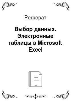 Реферат: Выбор данных. Электронные таблицы в Microsoft Excel