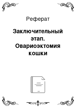 Реферат: Заключительный этап. Овариоэктомия кошки