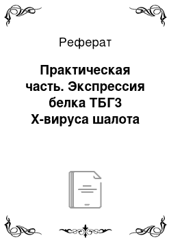 Реферат: Практическая часть. Экспрессия белка ТБГ3 Х-вируса шалота