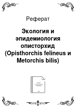 Реферат: Экология и эпидемиология описторхид (Opisthorchis felineus и Metorchis bilis)