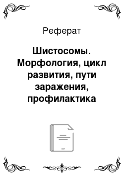 Реферат: Шистосомы. Морфология, цикл развития, пути заражения, профилактика