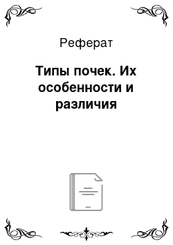 Реферат: Типы почек. Их особенности и различия