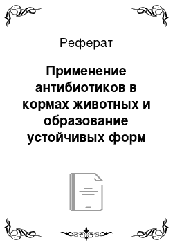 Реферат: Применение антибиотиков в кормах животных и образование устойчивых форм микроорганизмов