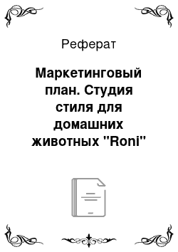 Реферат: Маркетинговый план. Студия стиля для домашних животных "Roni"