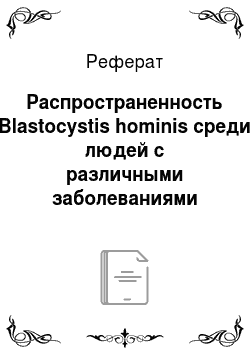 Реферат: Распространенность Blastocystis hominis среди людей с различными заболеваниями