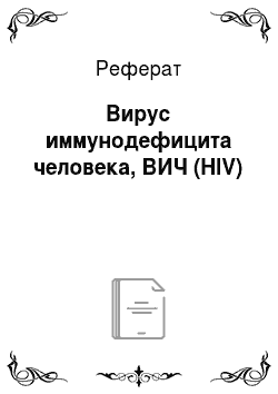 Реферат: Вирус иммунодефицита человека, ВИЧ (HIV)