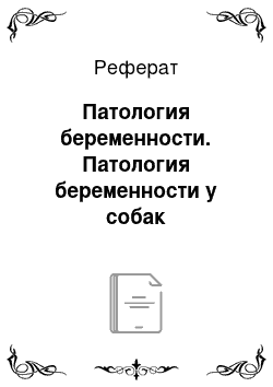 Реферат: Патология беременности. Патология беременности у собак