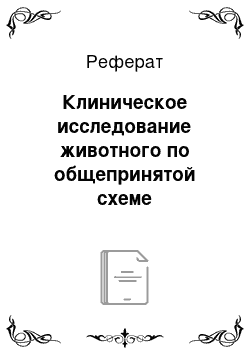 Реферат: Клиническое исследование животного по общепринятой схеме