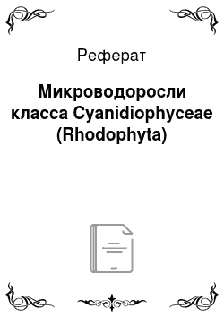 Реферат: Микроводоросли класса Cyanidiophyceae (Rhodophyta)