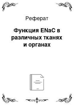 Реферат: Функция ENaC в различных тканях и органах