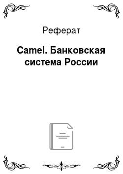 Реферат: Camel. Банковская система России
