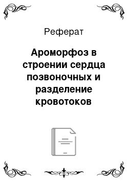 Реферат: Ароморфоз в строении сердца позвоночных и разделение кровотоков