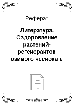 Реферат: Литература. Оздоровление растений-регенерантов озимого чеснока в условиях культуры in vitro при помощи рибавирина