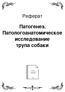 Реферат: Патогенез. Патологоанатомическое исследование трупа собаки