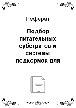 Реферат: Подбор питательных субстратов и системы подкормок для поддержания пробирочных растений на этапе in vivo и культивирования