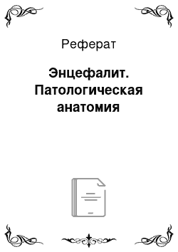 Реферат: Энцефалит. Патологическая анатомия