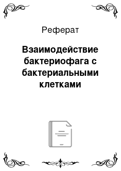 Реферат: Взаимодействие бактериофага с бактериальными клетками