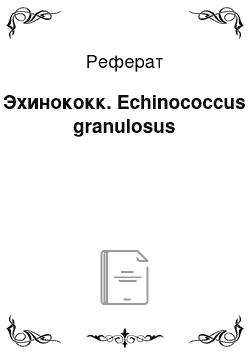 Реферат: Эхинококк. Echinococcus granulosus