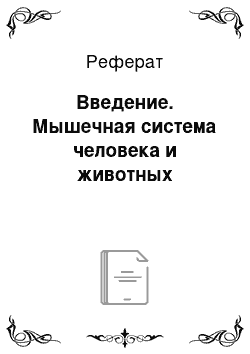 Реферат: Введение. Мышечная система человека и животных