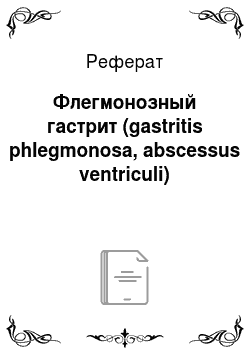 Реферат: Флегмонозный гастрит (gastritis phlegmonosa, abscessus ventriculi)