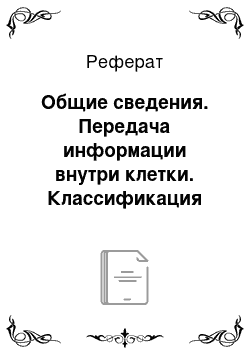 Реферат: Общие сведения. Передача информации внутри клетки. Классификация информационных потоков внутри клетки