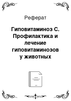 Реферат: Гиповитаминоз С. Профилактика и лечение гиповитаминозов у животных