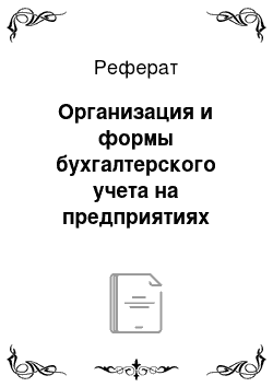 Реферат: Организация и формы бухгалтерского учета на предприятиях малого бизнеса