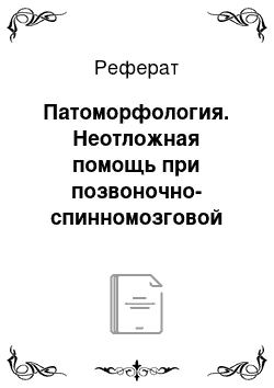 Реферат: Патоморфология. Неотложная помощь при позвоночно-спинномозговой травме