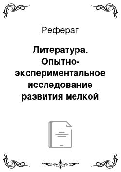 Реферат: Литература. Опытно-экспериментальное исследование развития мелкой моторики у детей среднего дошкольного возраста в процессе ручного труда