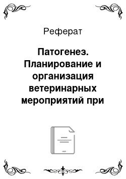 Реферат: Патогенез. Планирование и организация ветеринарных мероприятий при бронхопневмонии телят