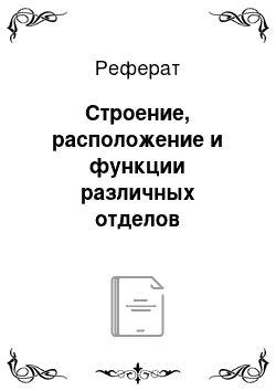 Реферат: Строение, расположение и функции различных отделов эндокринной системы