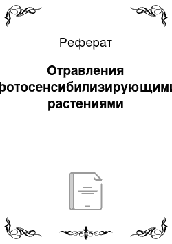 Реферат: Отравления фотосенсибилизирующими растениями