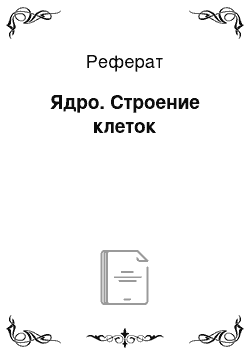 Реферат: Ядро. Строение клеток