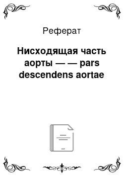 Реферат: Нисходящая часть аорты — — pars descendens aortae