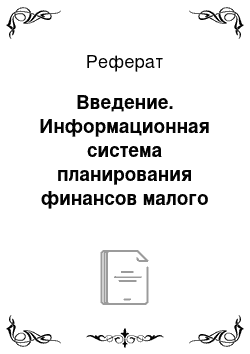 Реферат: Введение. Информационная система планирования финансов малого предпиятия